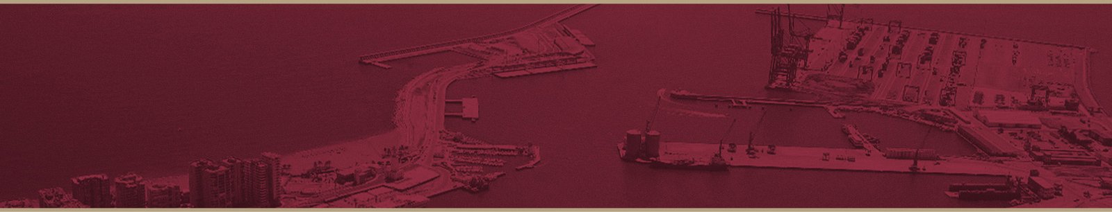 Apicam banner de bienvenida